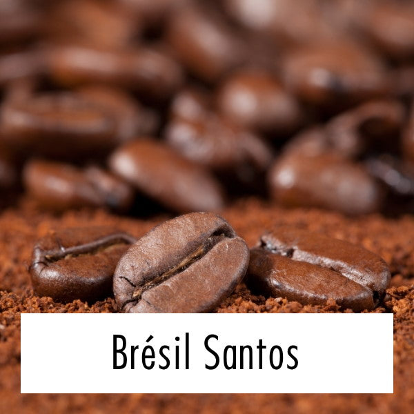 Brésil Santos, café en grains, doux, sans acidité ni amertume